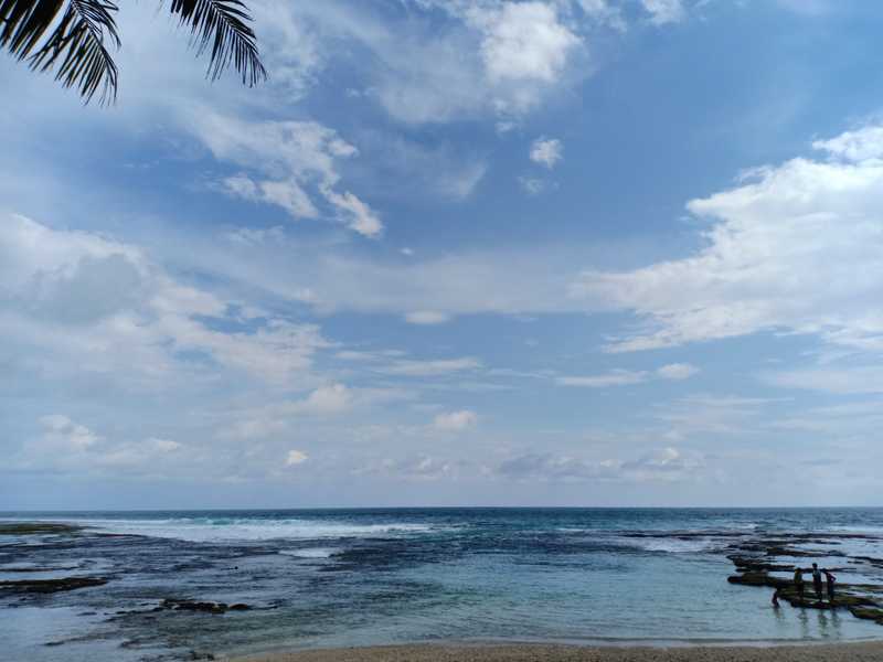 Laut