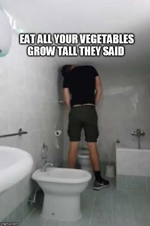 Tall in The Toilets Tall in The Toilets