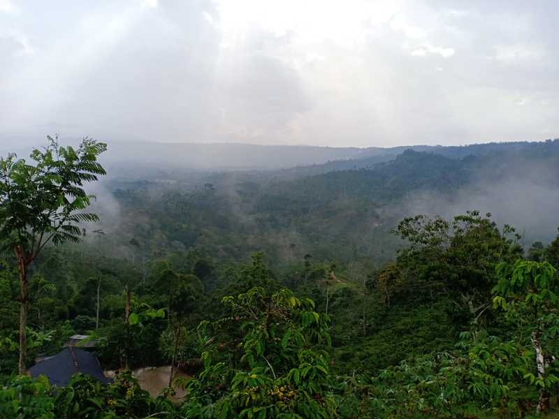 Suasana di Bukit